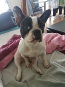 6efb9df7-d46a-47db-9b1e-7b07241d6721