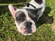 2200bb29-f104-4901-a40f-623588c74bf1