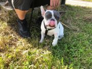 66a77ca9-5e30-4ceb-91c6-05c170f2b775