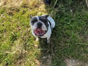 66e1e8b3-f406-4a9d-8a34-4e558b27fbc0