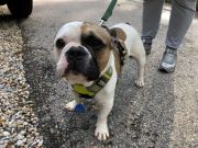 1cf2b418-4225-4370-92dd-60951ea8305c