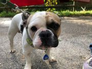 8efe29a4-9aac-445c-bacc-0c71c644f7e6