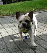 b3fcc722-00b3-4418-9c30-910eadb3ad7c