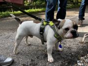 d5a29c35-ae23-4431-80a9-97b63a00831c