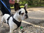 1b753fa9-1011-4316-96c0-ed37f4e0f27d