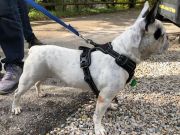 cc821a28-a2a2-4e50-9663-9230ae46ce65