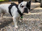 d9491303-6533-41e1-b4d2-31b26edf25c8