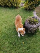 727073467621991308608016795299120299900928n