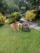 727803355359689871780897131981804201836544n