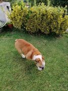 7339982531891192644954404858444237613563904n