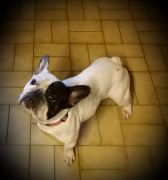 9f6ee59a-6929-4350-b81f-3720e9c408b8