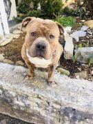 030f0363-6ac8-468b-937c-d864d9cfc39b