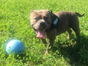 498f54b4-eb54-4dad-96f8-32c285edfdda