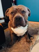 6dcd777b-bcf6-4793-869a-0ff9953814fe