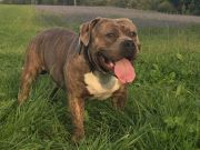 72b802f4-9ffa-48d1-8243-33b773096bde