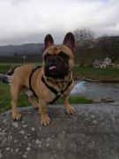 b8107e63-2d87-4efd-832c-5a2a82a944dc