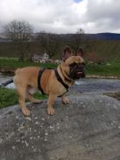 d4577275-a855-4dfb-b16f-d3e41c7cbcc6