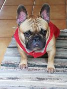 f9712027-f9e5-4d90-9808-2bf6096bf6ee