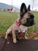 50fa13ad-a8d3-42e1-8216-89374c03b6f4