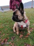 9018dd9e-29e9-43ff-b8f1-f8c2ad3a9ded