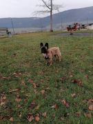 9526c561-4ca8-425a-a263-39ac96306b08