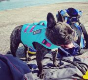 325d54e0-6309-455a-8e8c-2c45809e735f