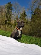 80da3a2e-2cbf-4ae6-975b-4c9d56b4334d