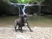 c9ab01d4-1f18-42a2-b993-5d6e3bbfe038