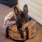 e20fde66-b577-40db-96bc-b88db202ce63