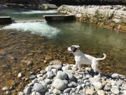 796f5990-c7cf-4f76-9357-59f326e54178