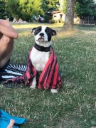 aefd8eb5-e212-4373-9c27-d569365d1fa2