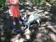 b6a631c9-2920-498f-ad7a-829d59b02a59