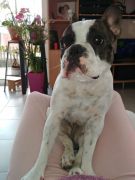 69834a45-02c5-4289-9493-58a1587df06f