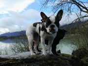 897712152096579104135263853902772067893248n