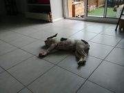 8983206124663373069522874131386135022665728n