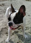 899032092121902466683547778936589173915648n