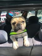 c57235f1-707e-4015-9c71-fd3ac7ad29b5