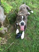 e73ecb8f-e9b0-4f8e-8546-55ba065c03db