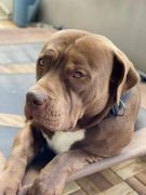 10398157911462169124214412274690891640410207n