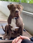 1041015383218734021664264242520469896957019n